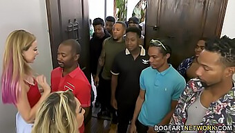 Haley Reed And Her Mature Mother Kiki Daire Participate In A Wild Group Sex Session With 12 Black Men