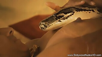 Desi MILF's sensual dance with a snake prop