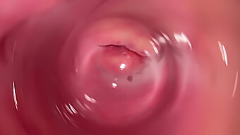 Intimate POV of wet pussy and masturbation