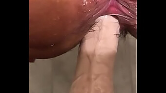 Intense Bathroom Masturbation With Large Dildo